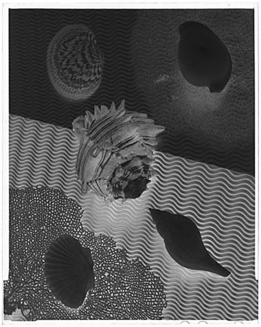 negative after selenium