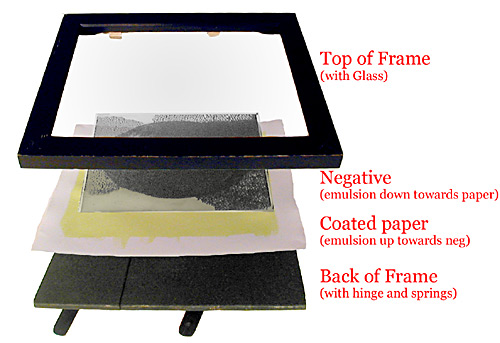 contact frame