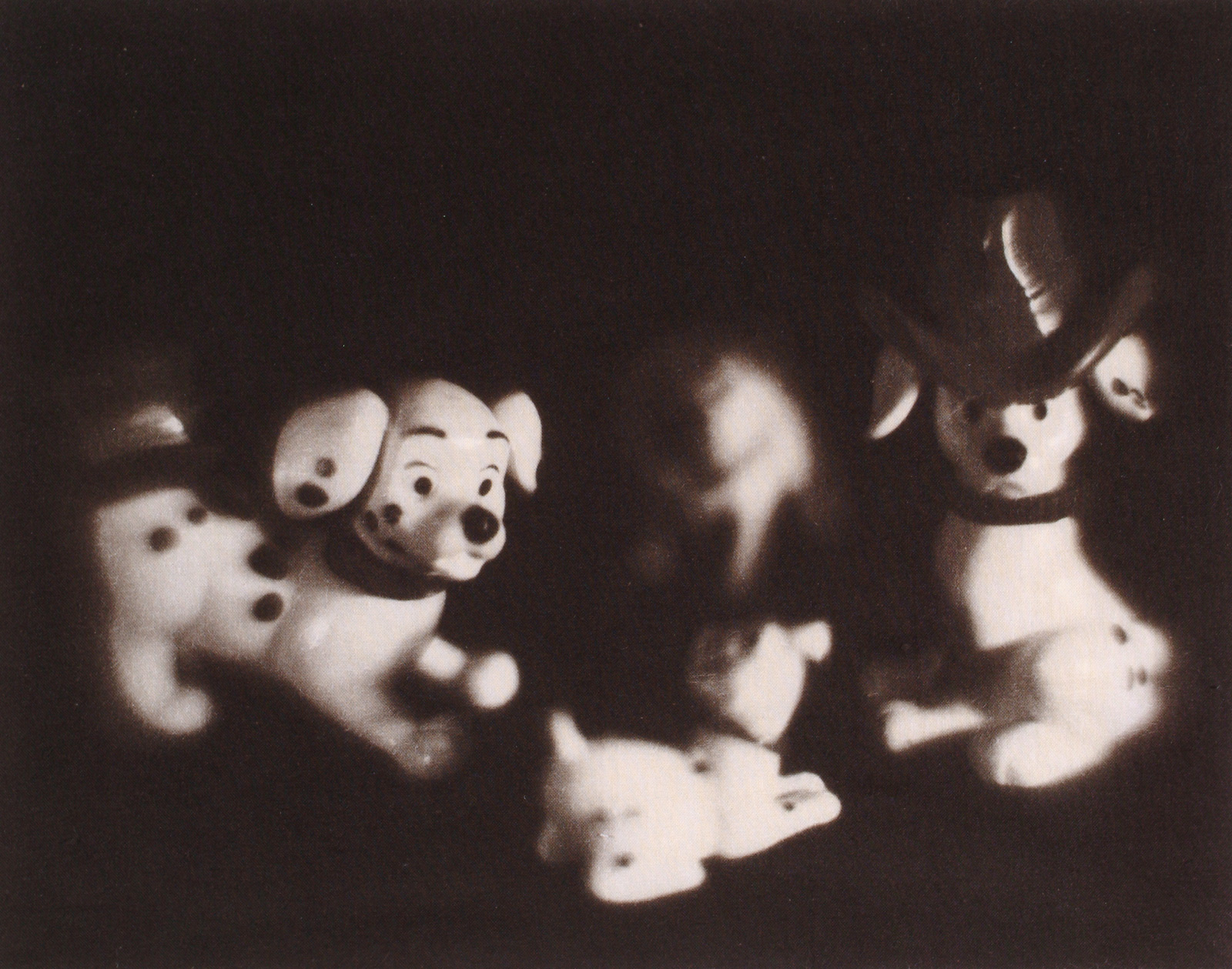 toy dogs kallitype