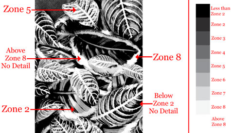 zone system example high contrast